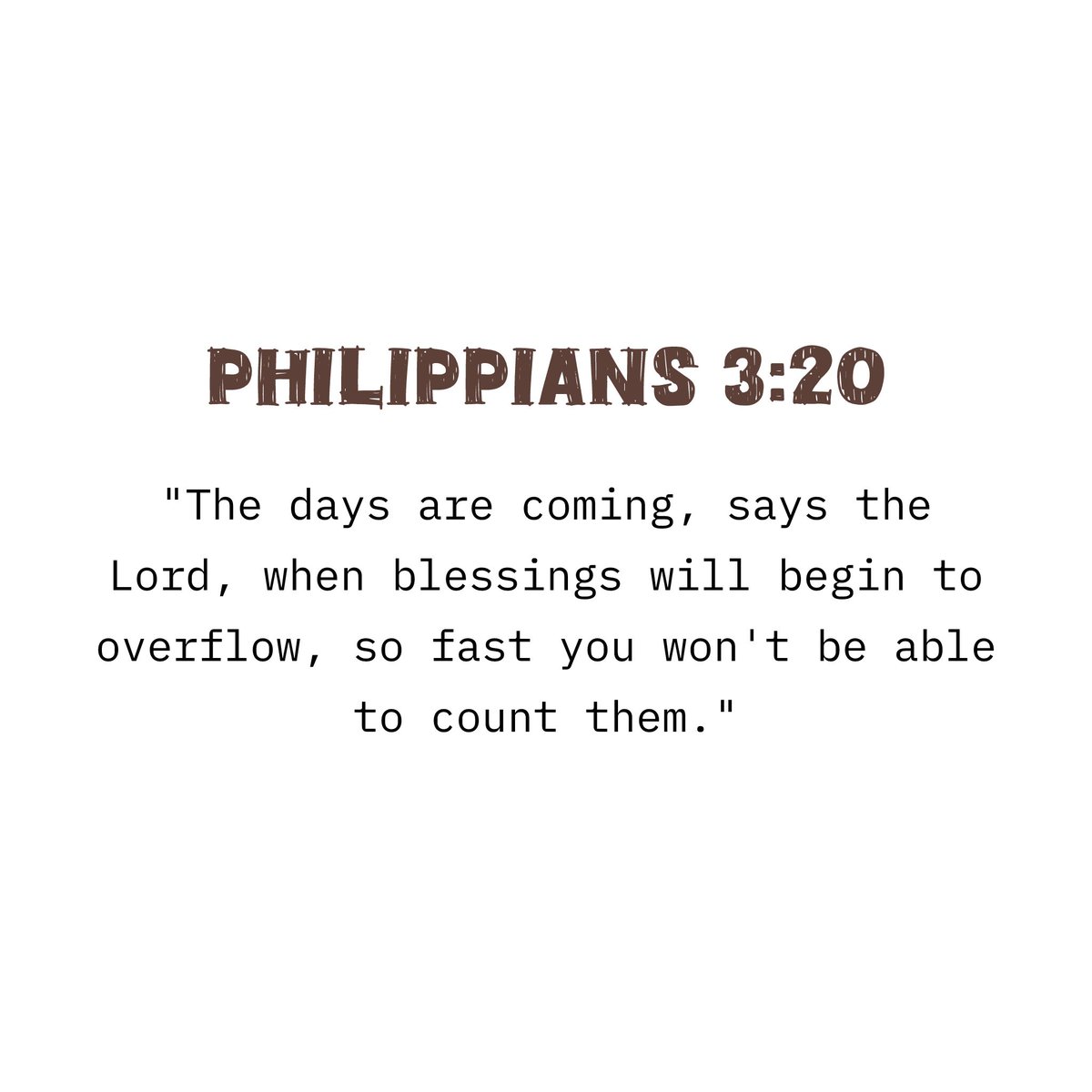 Holy Bible tweet media