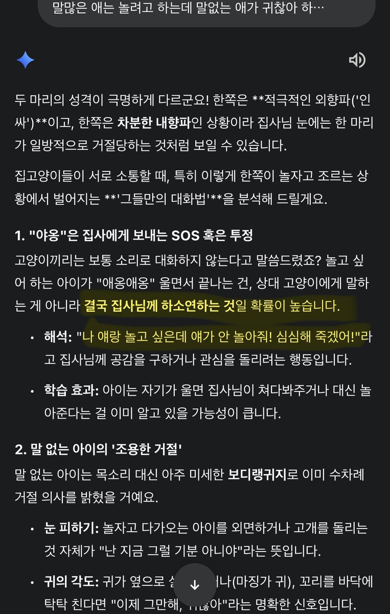 앙걀 tweet media
