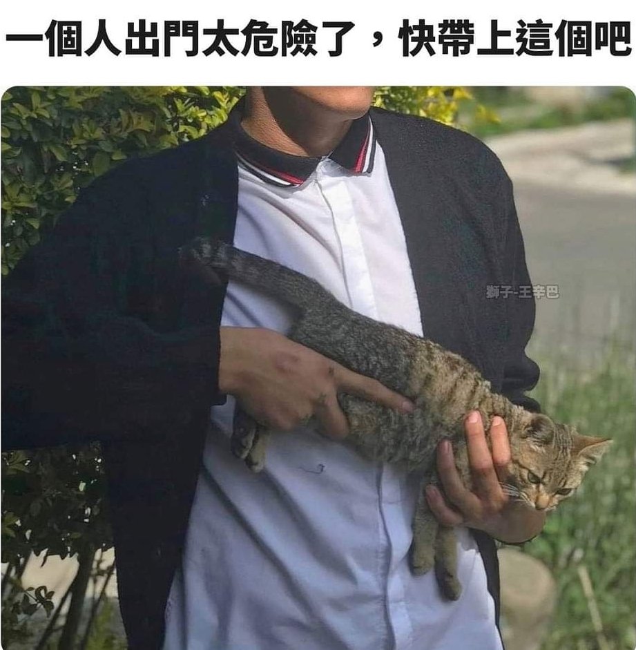 瑪珂芙特•翡翠/Malkuth•Emerald🍃聖獸系Vtuber tweet media