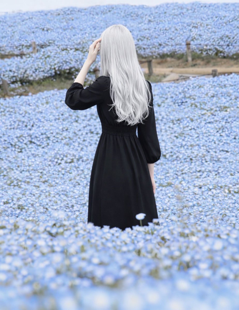 ネモフィラの海𖥧