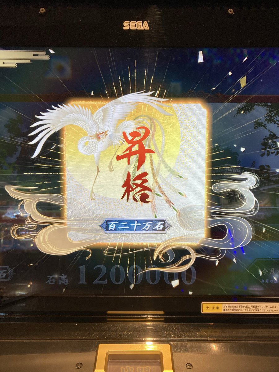 ぶた騎士🐈🀄️ tweet media