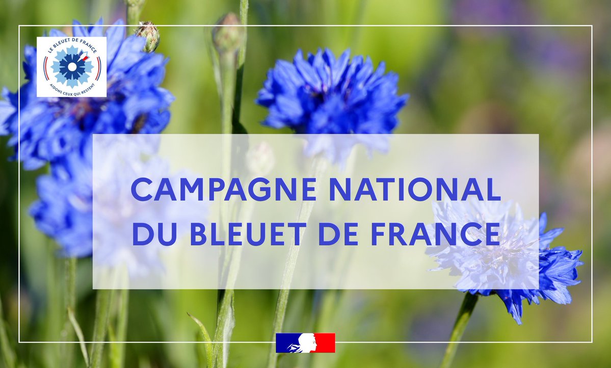 Image de Préfet de la Somme - #JeSoutiensLeBleuet I Le Bleuet de France, fleur de mémoire et de solidarité.🪻
👉Du 1er mai jusqu'a