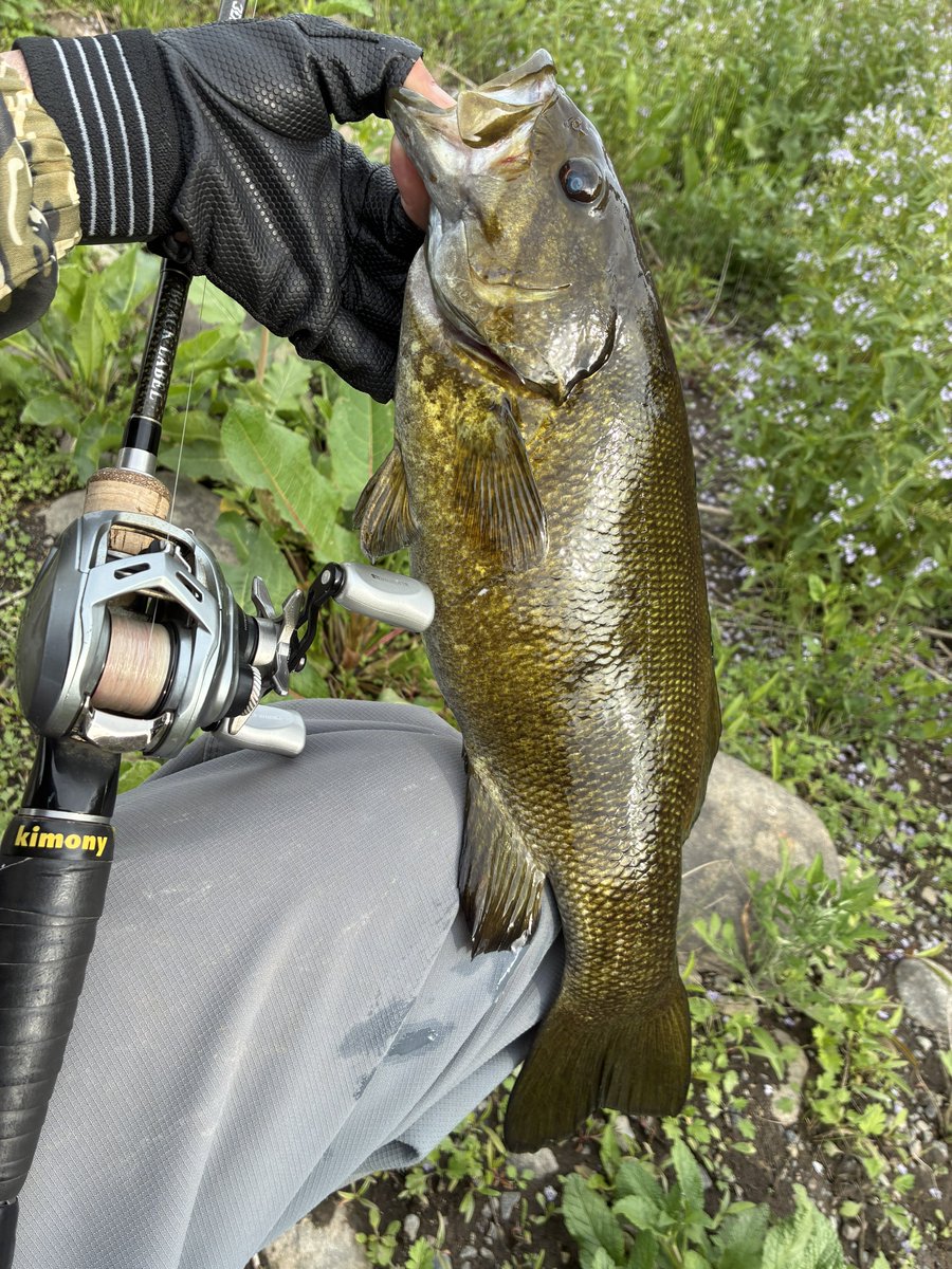 たぴやん tweet media