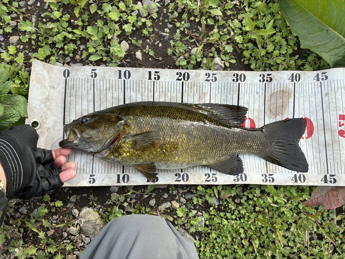 たぴやん tweet media