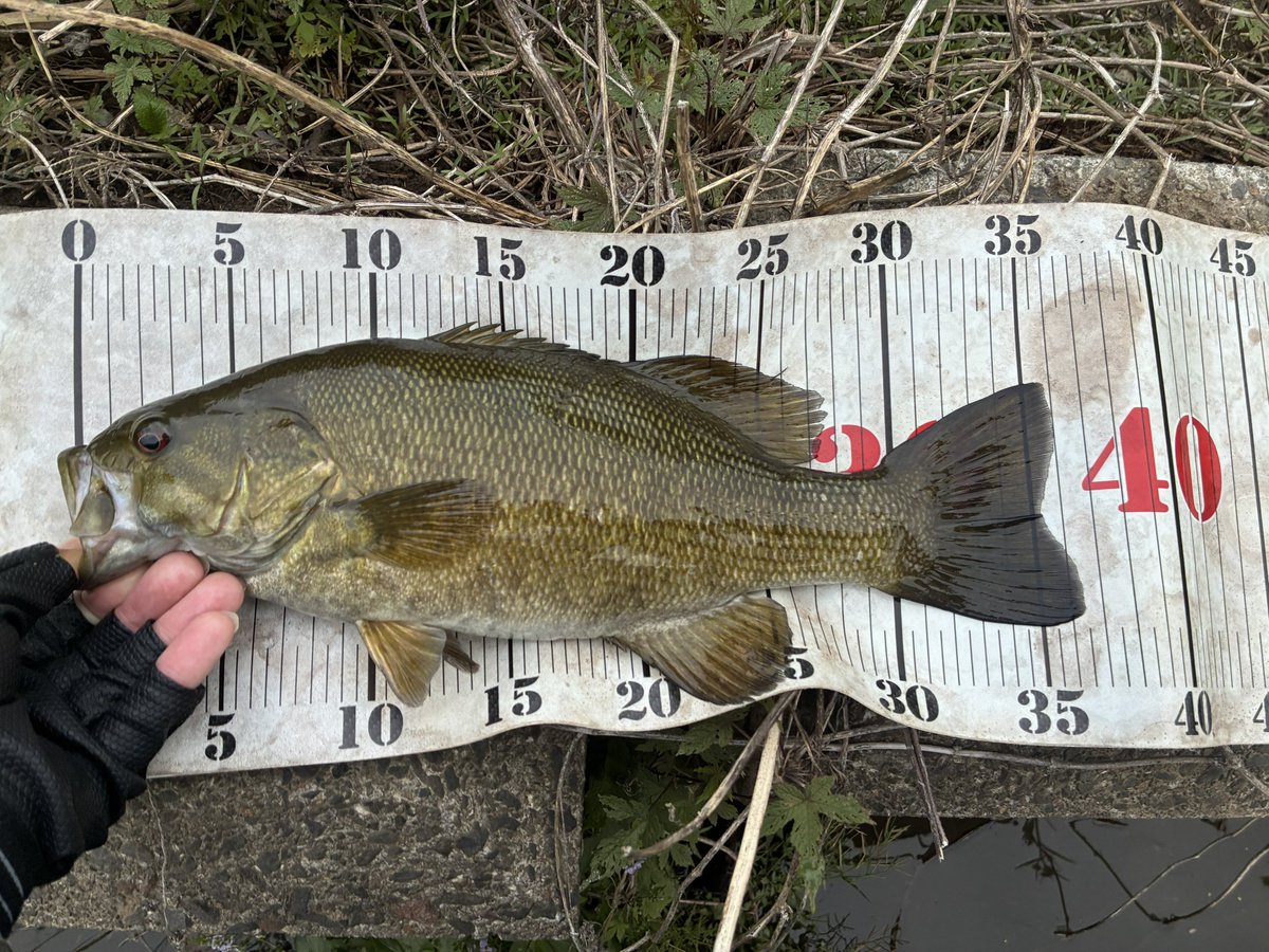 たぴやん tweet media