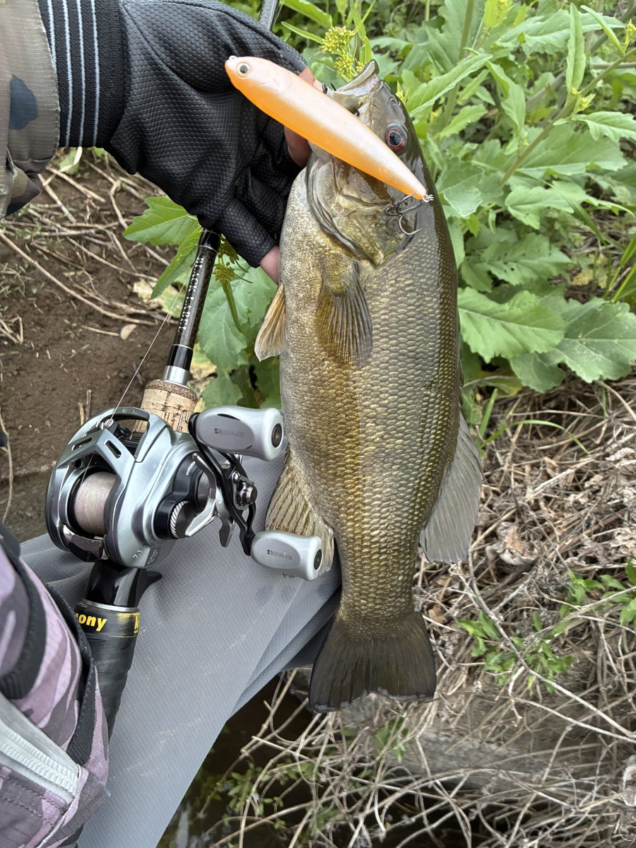 たぴやん tweet media