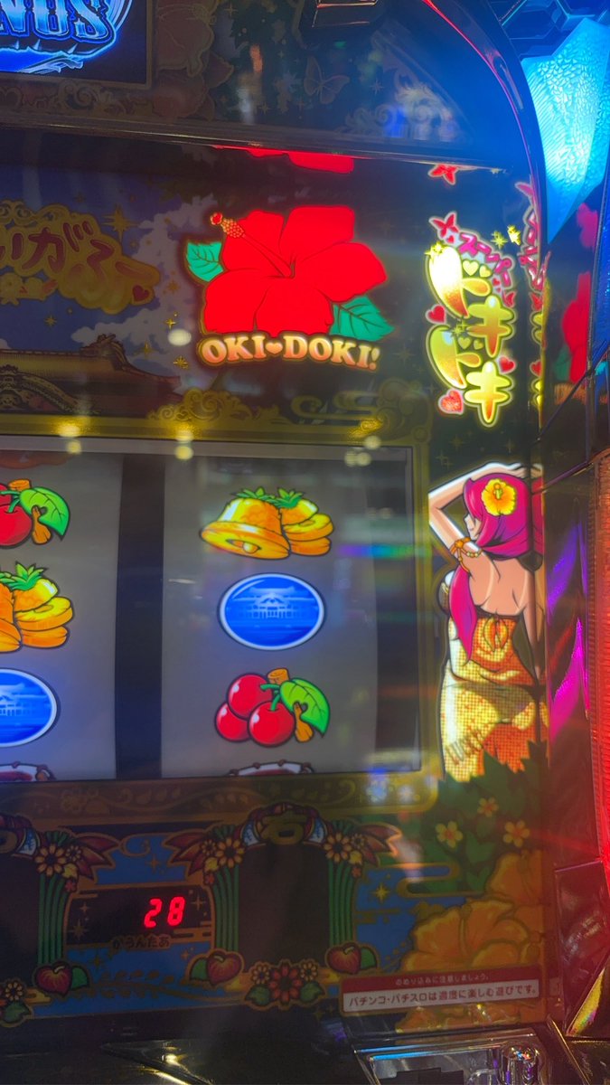 葛城光花 tweet media