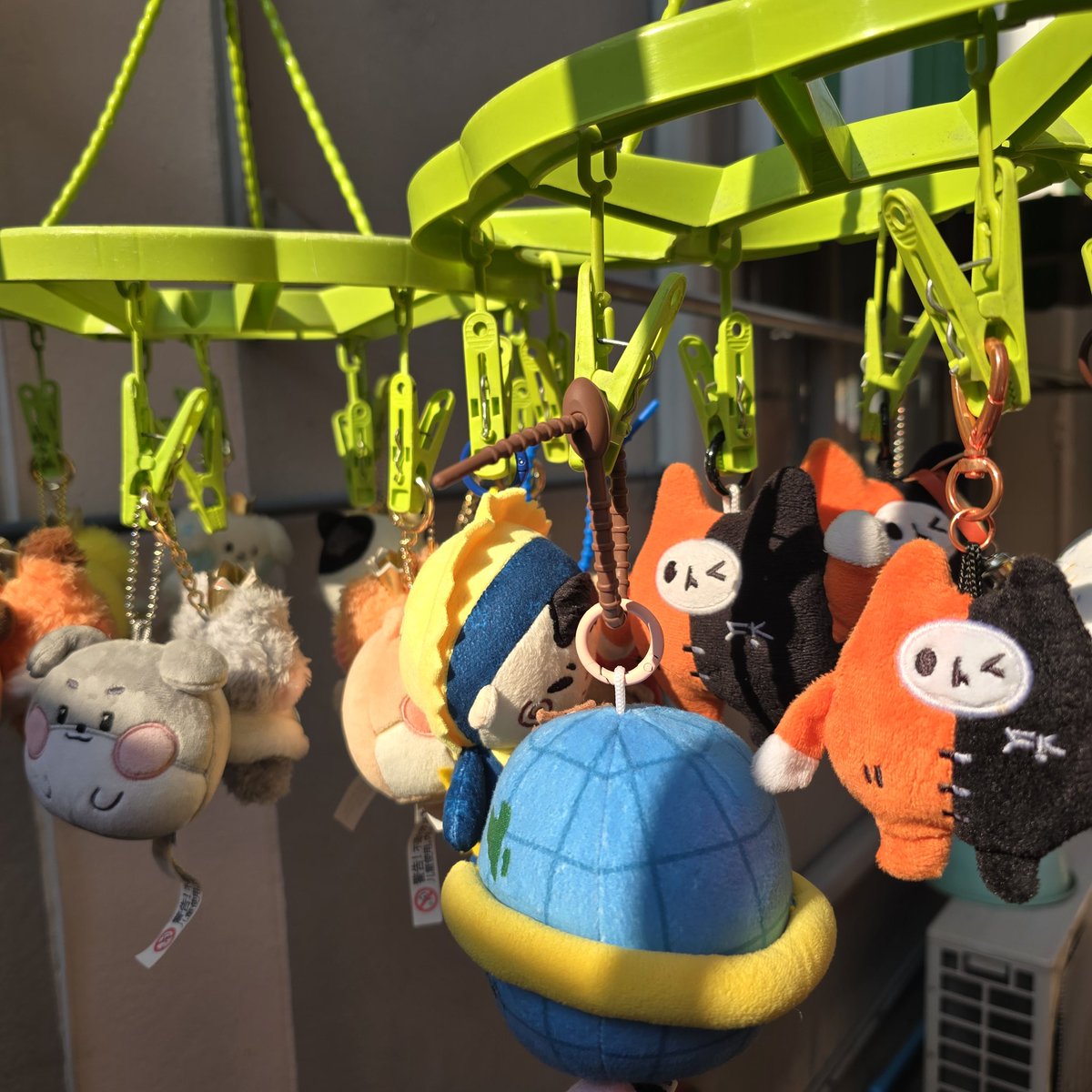 (｡-｀へ´-｡)ミサト⚘️ หมี่เน้ก ツ♡ tweet media