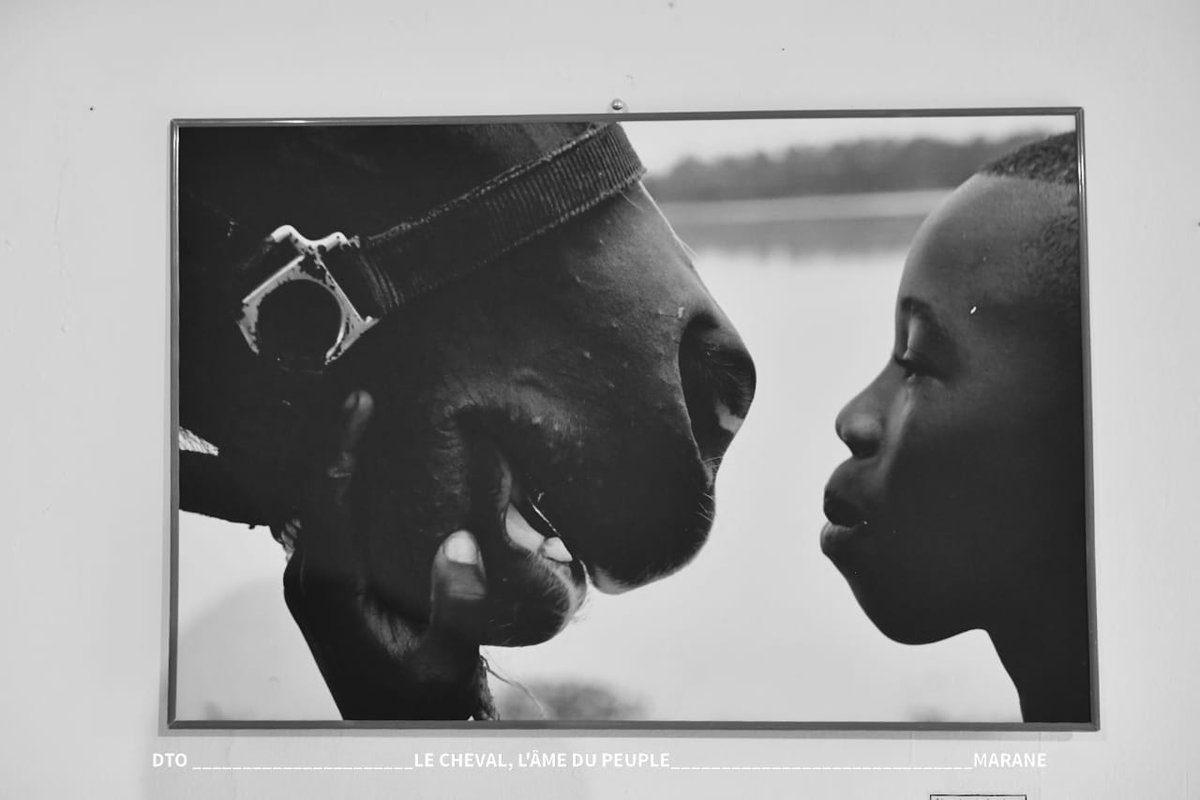 _harounaneya's tweet image. 🔴 EXPOSITION PHOTOGRAPHIQUE 

Présentée le 11 avril 2026 à Les Ateliers Maaneere , l’exposition photographique "Le cheval, l’âme d’un peuple" de Marane Harouna de Donoko  met le cheval à l’honneur.

neyabloga.mondoblog.org/je-souhaite-qu…

⚫⚪
---------
#arts #visualart 
#découvrabilité