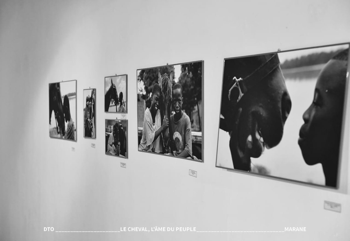 _harounaneya's tweet image. 🔴 EXPOSITION PHOTOGRAPHIQUE 

Présentée le 11 avril 2026 à Les Ateliers Maaneere , l’exposition photographique "Le cheval, l’âme d’un peuple" de Marane Harouna de Donoko  met le cheval à l’honneur.

neyabloga.mondoblog.org/je-souhaite-qu…

⚫⚪
---------
#arts #visualart 
#découvrabilité
