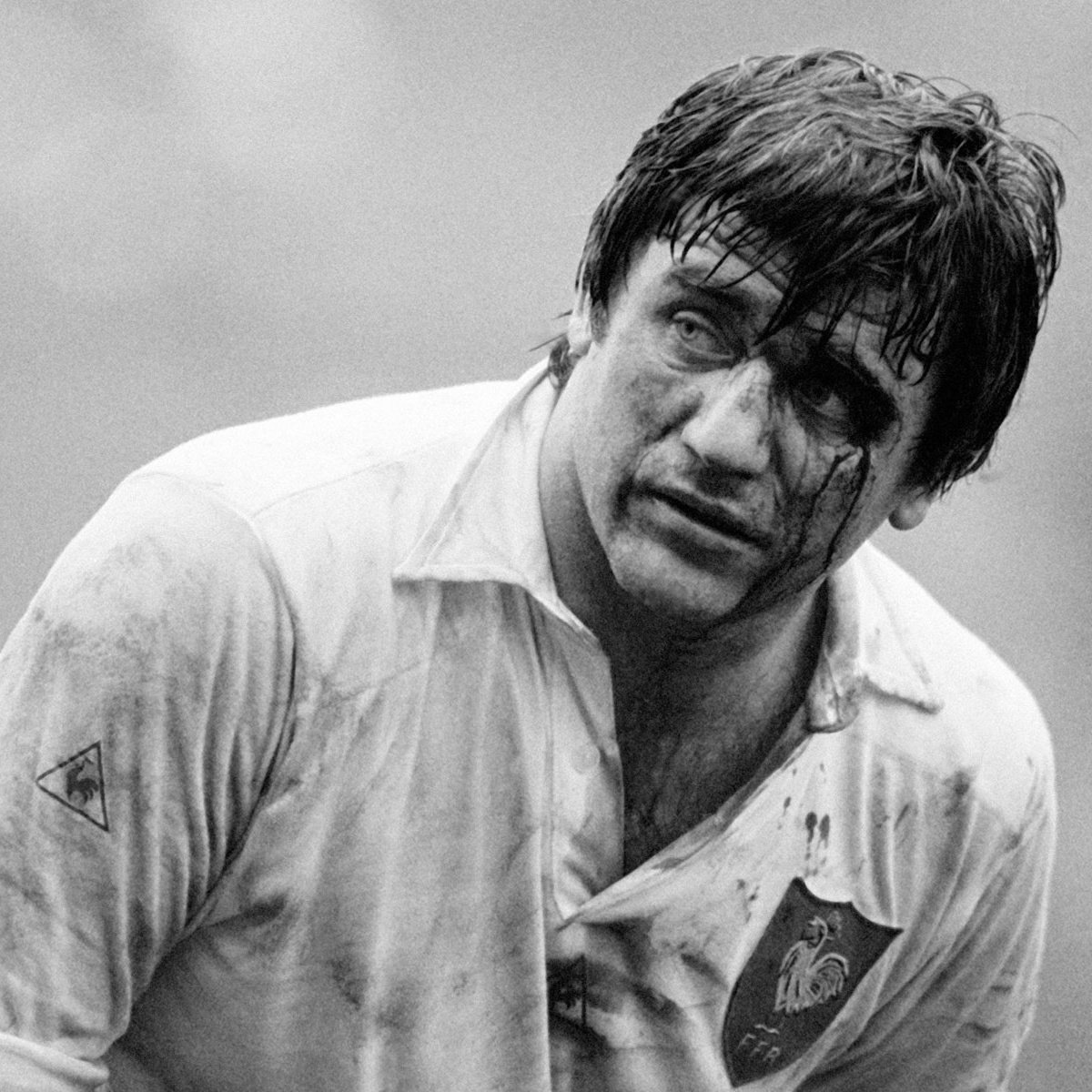 Perdants magnifiques tweet media