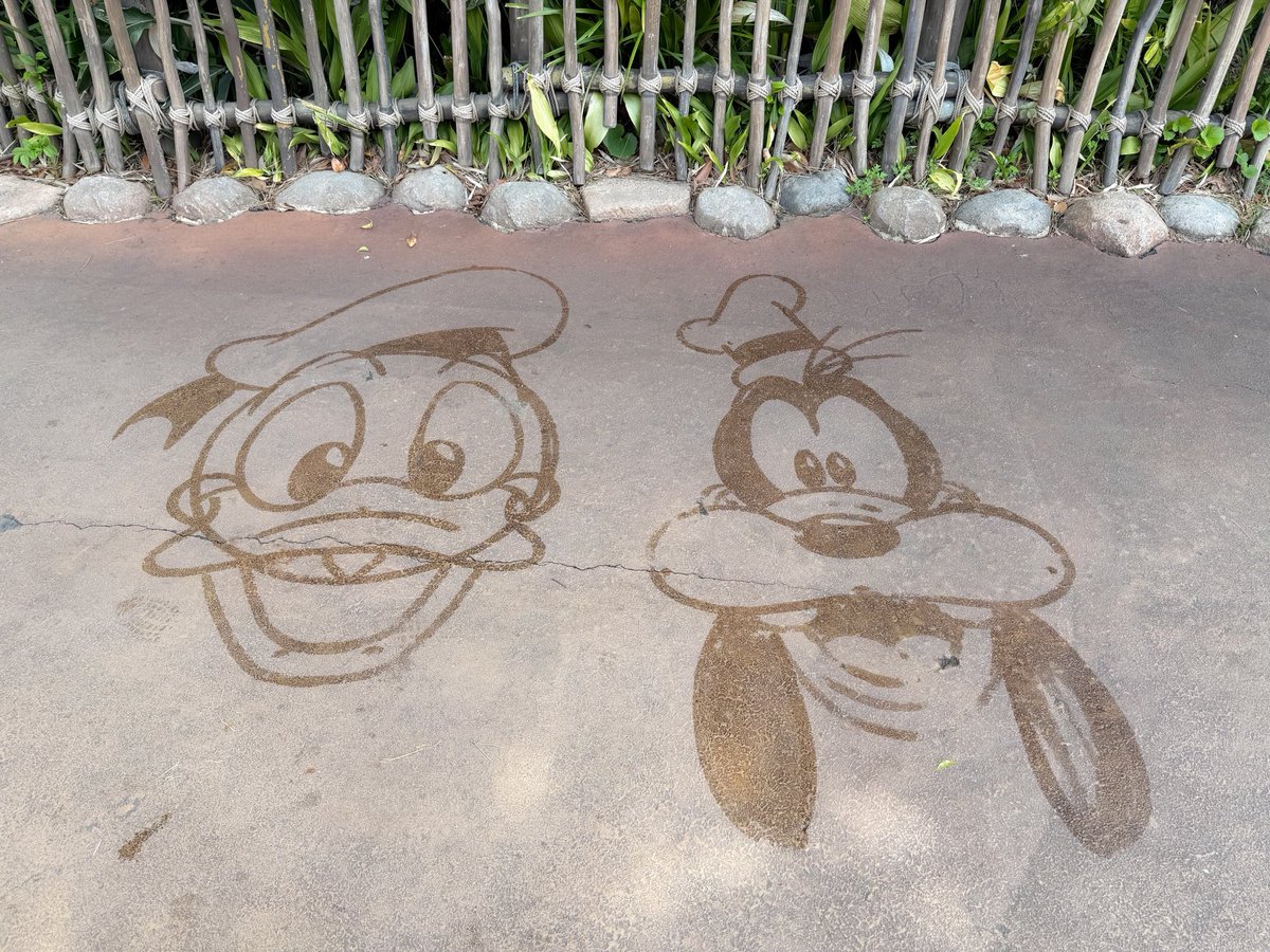 ドナルド＆グーフィー見つけた！