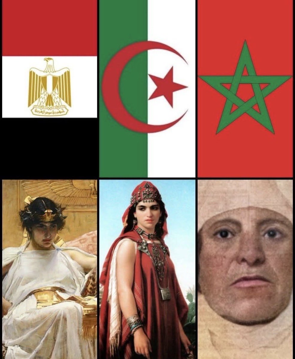 ᥫᩣ ⵢⴻⵃⵎⴻⵍ 🇩🇿🇬🇧🇺🇸 Sofi tweet media