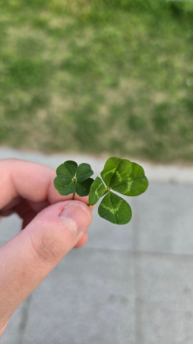 여러분 언제나 행운 가득한 날 보내세요