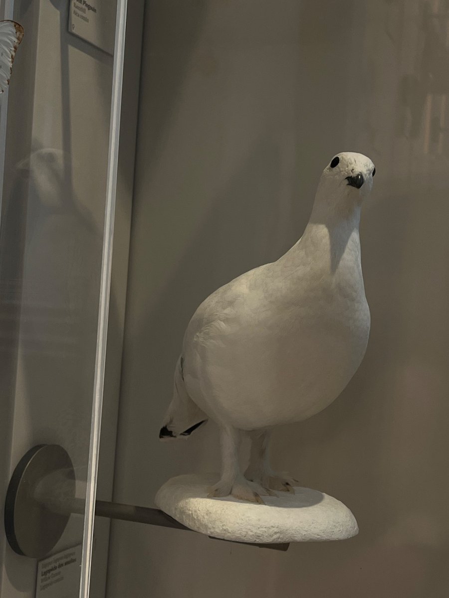 KC Clara ⁷ 🌱 tweet media