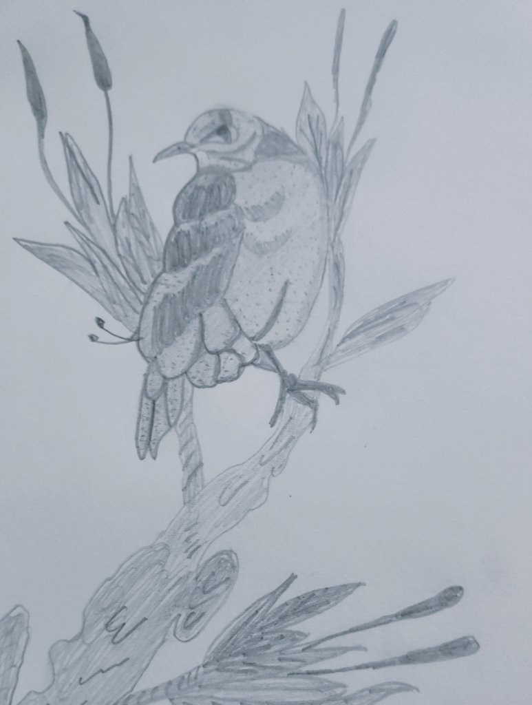 AnchalMahar's tweet image. हर sketch perfect नहीं होता…
पर हर sketch कुछ सिखा जाता है ✍️

ये मैंने बनाया—थोड़ा patience, थोड़ा observation, और थोड़ा imagination 🐦🌿

Aap kya improve karne ko bolenge?

#ArtistLife #SketchArt