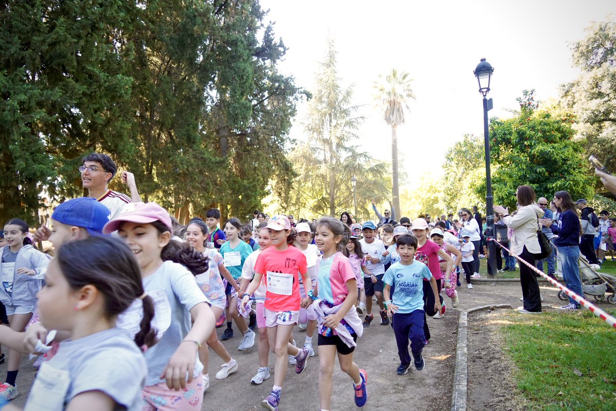 Ayuntamiento Badajoz tweet media