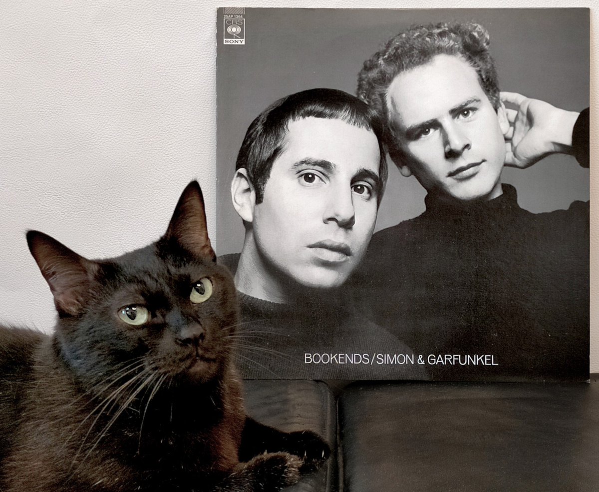 タウンゼント tweet media