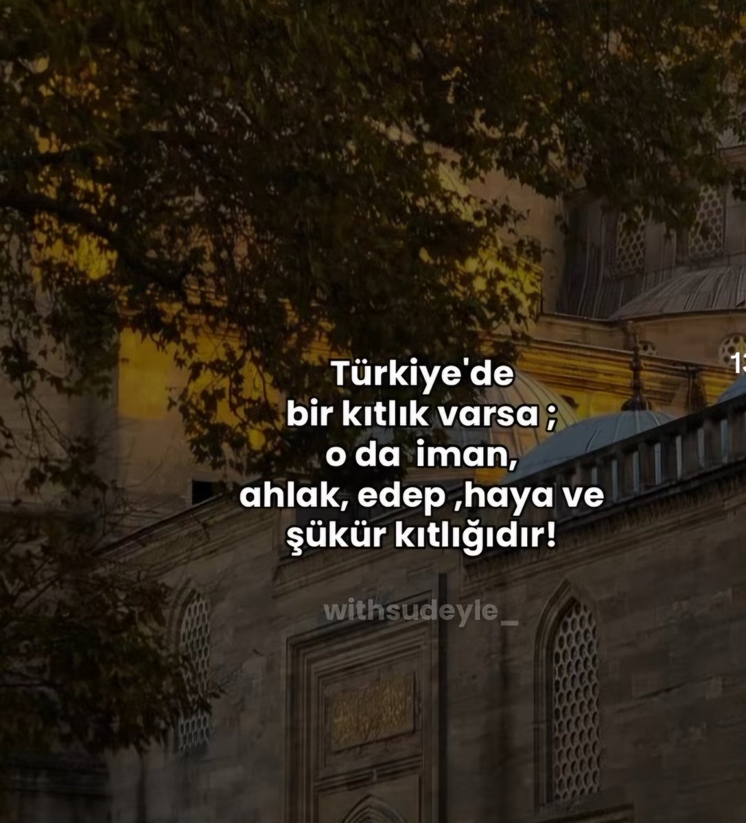 Yasemin Tepekaya tweet media