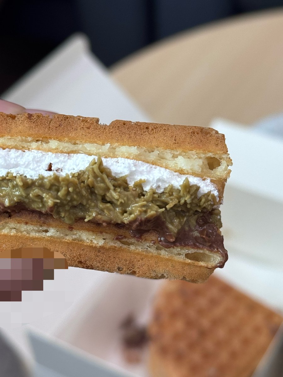 윤이기니 tweet media