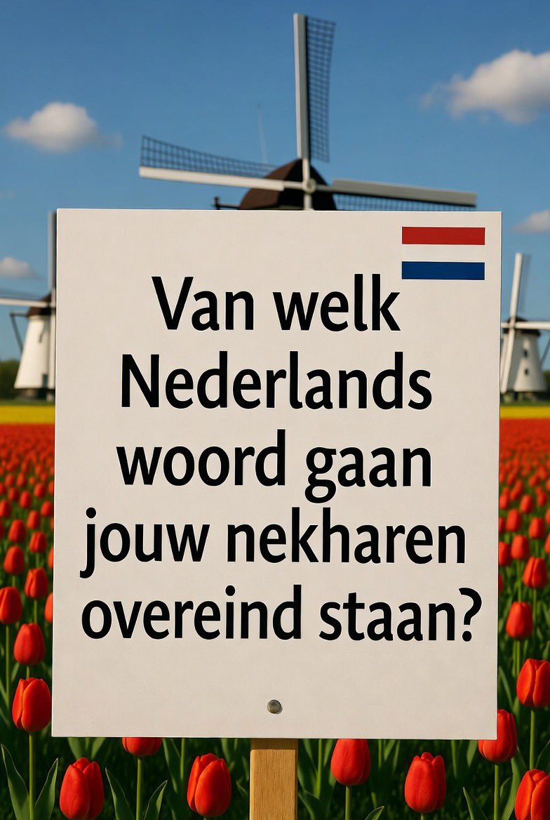 No Context Dutch 🇳🇱 tweet media