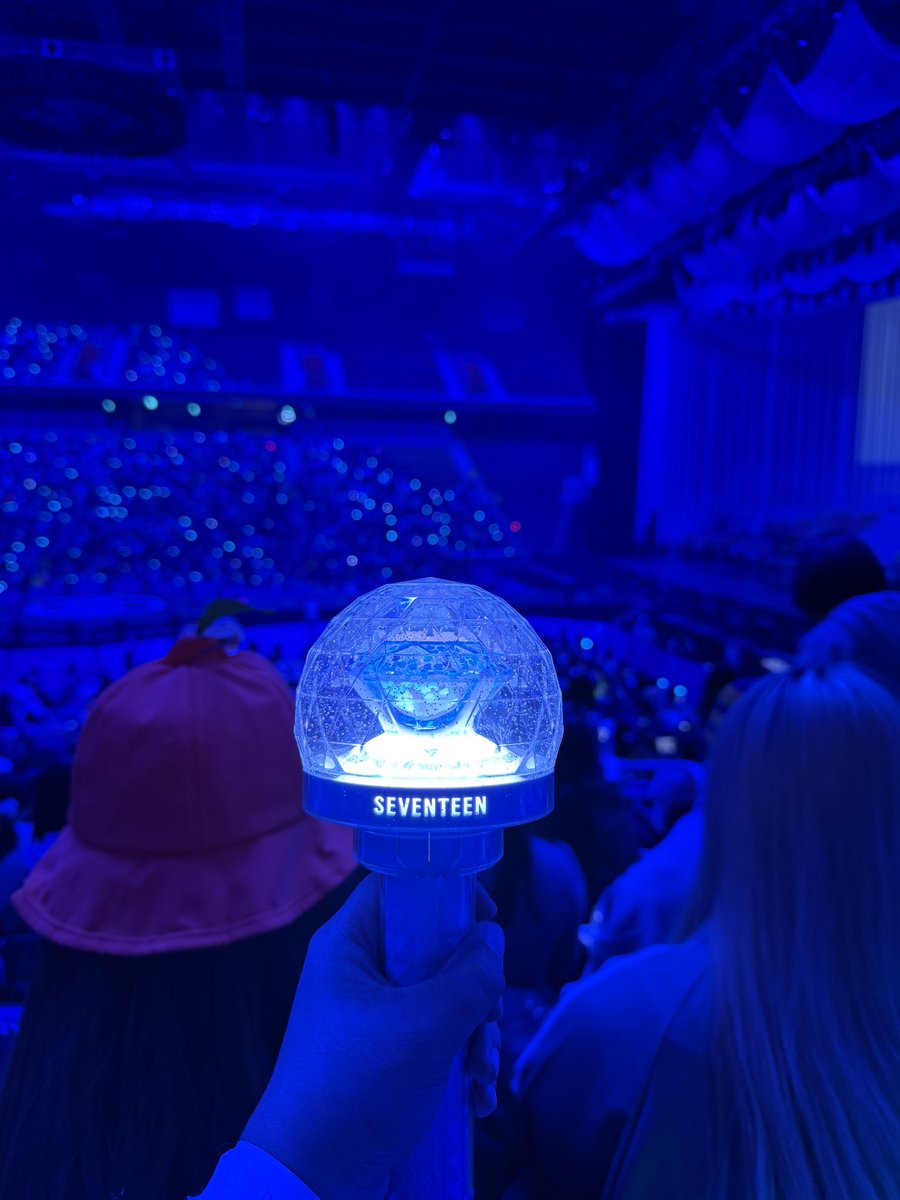 🐯🦦🌸 tweet media