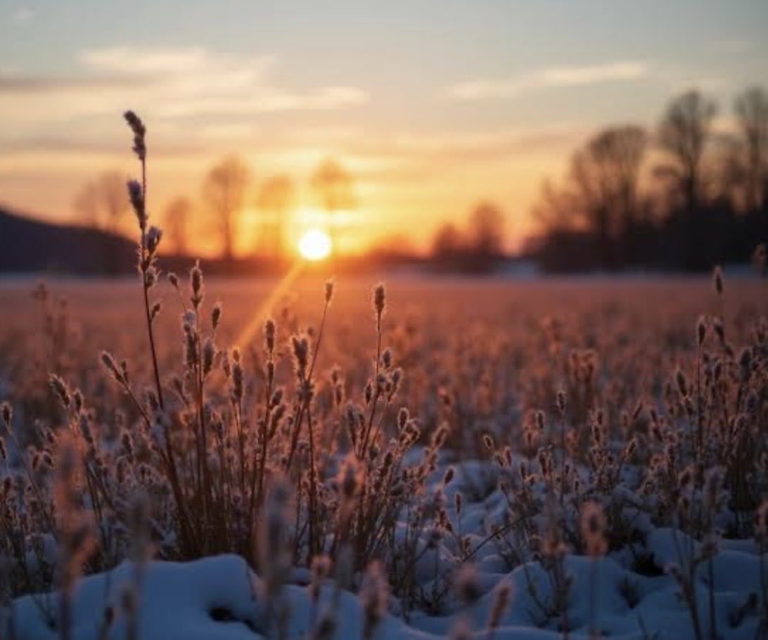 Melanie Korach🇨🇦 tweet media