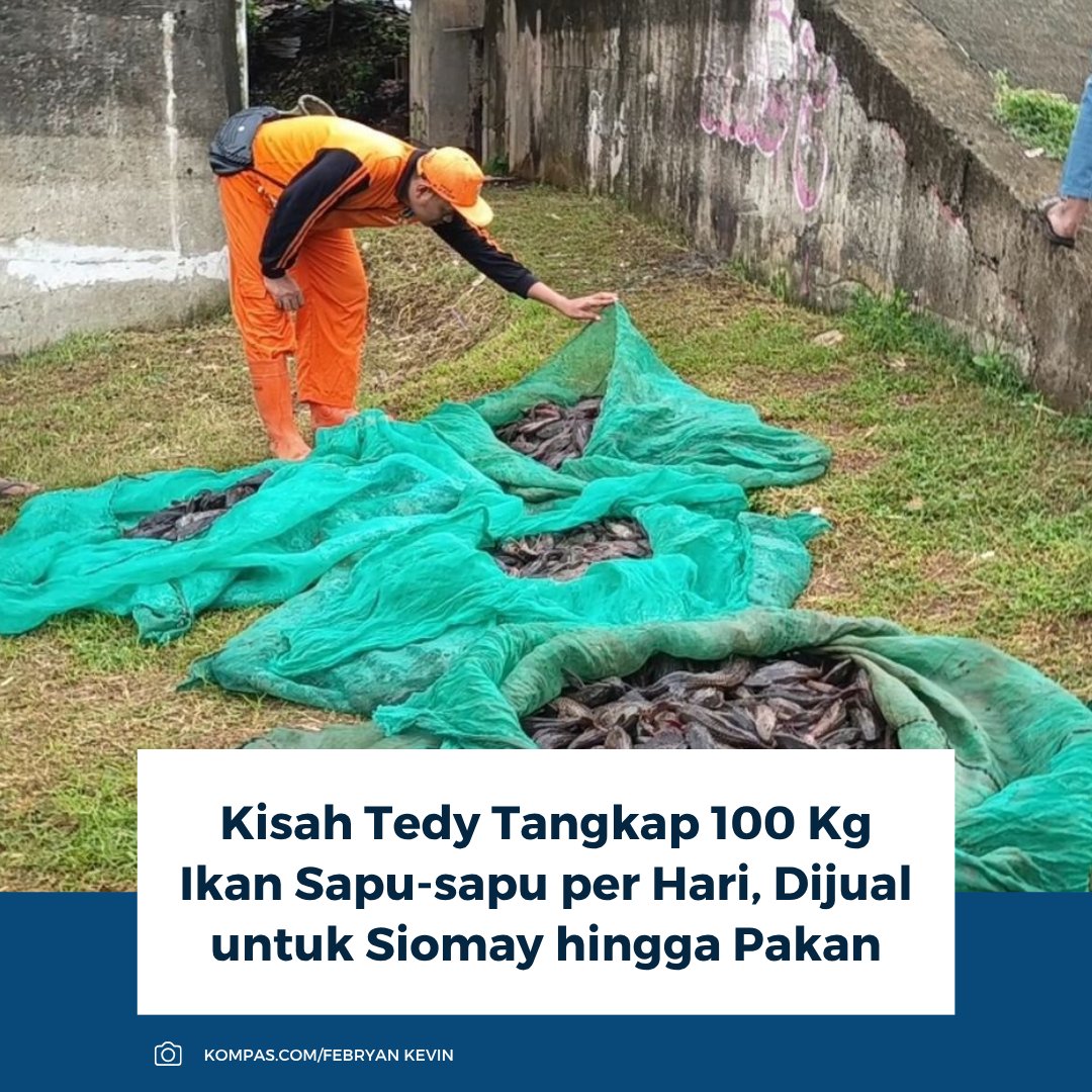 Kompas.com tweet media