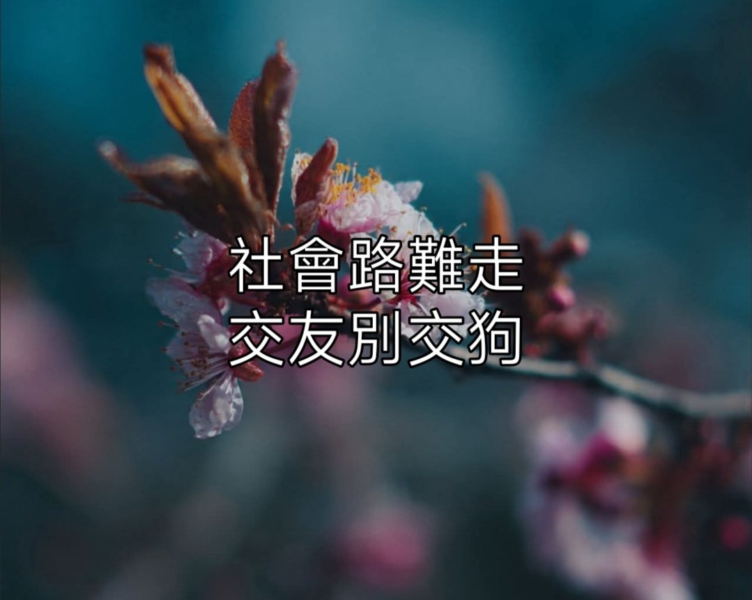 lwrence's tweet photo. 社會路難走
交友別交狗 https://t.co/cDtQWnhVyY