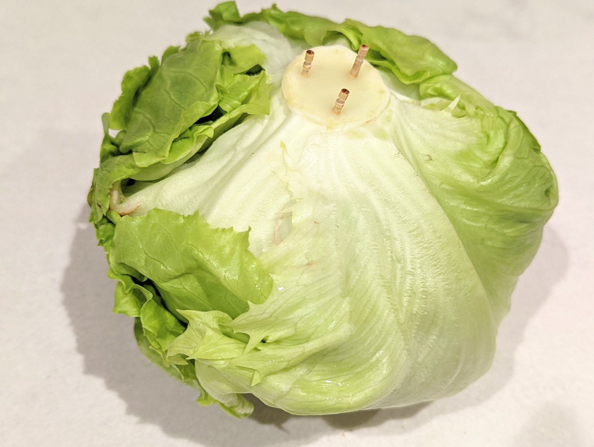 青髪のテツ🪼八百屋歴15年 tweet media