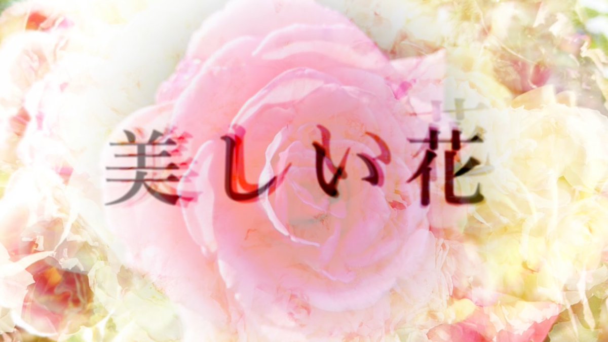 リク@MUSIC CUBE tweet media