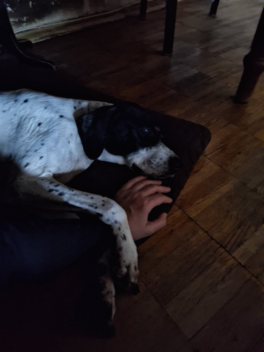 Местечковая правда tweet media