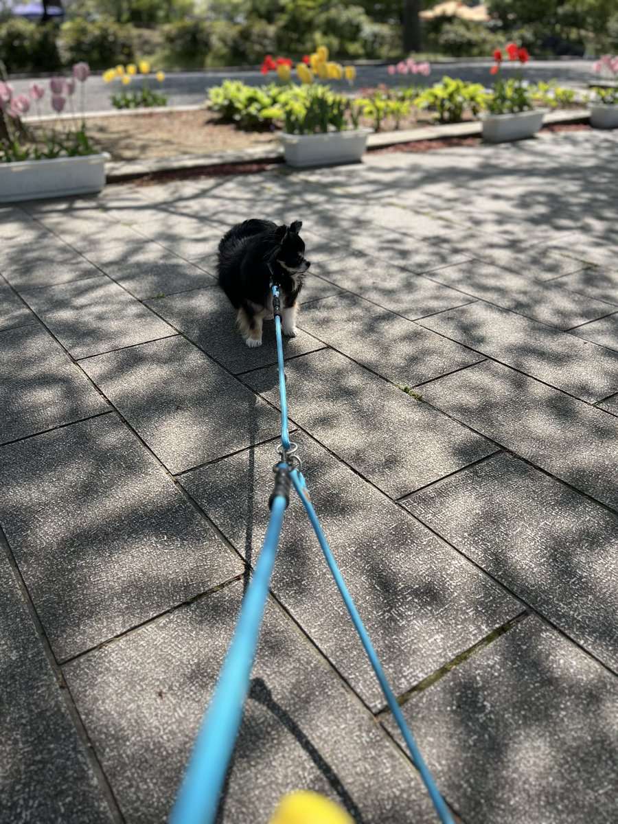 いたる tweet media