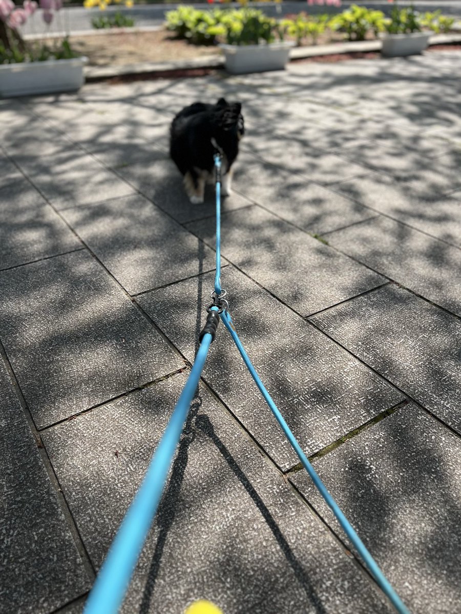 いたる tweet media