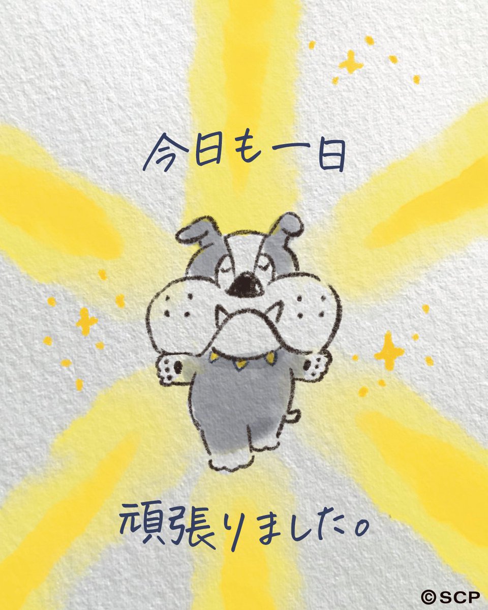 三丁目のタマ町内会 tweet media