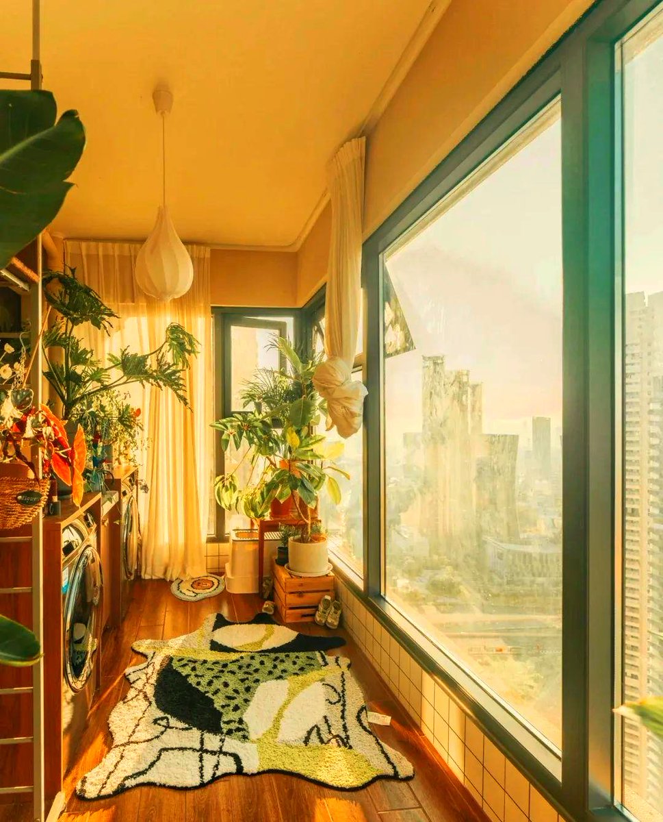 Shammi Dogra ❤️ Memecoin tweet media