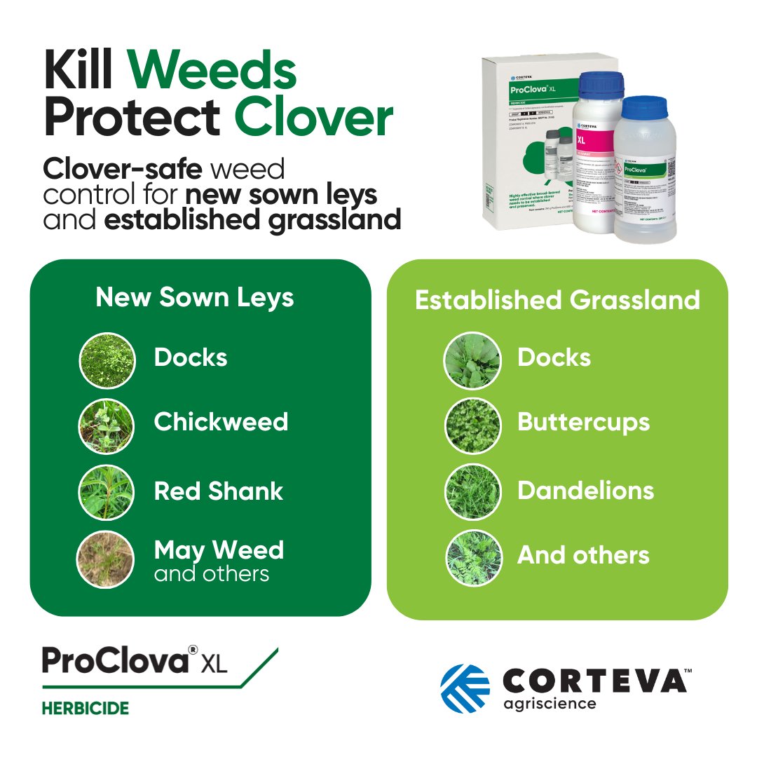 CortevaUK's tweet image. Kill weeds and protect your clover with ProClova® XL!🍀

A new clover-safe herbicide for use in newly sown leys and established grassland.

To learn more, click here: corteva.com/uk/products-an…

#ProClovaXL #CloverSafe #WeedControl #Reseeding #GrowGreatGrass