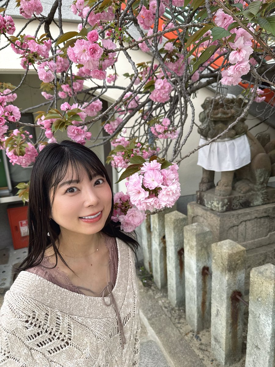 satouyume's tweet image. 明日はこちら👇

📍ミクちゃんアリーナ新長田
🗓4/18（土）
抽選 9:45〜

駅近すぐ🚶‍♀️
1人実践来店です☺️

キャラシールもあるし
サイン・お写真もOKだよ📸✨

ふらっとでもいいから会いにきてね🤍

#PR #実践来店