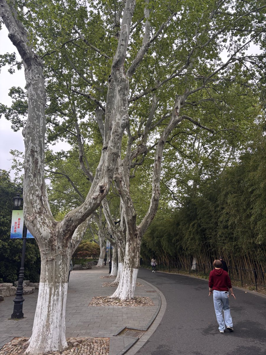 ら〜みえん🍜 tweet media