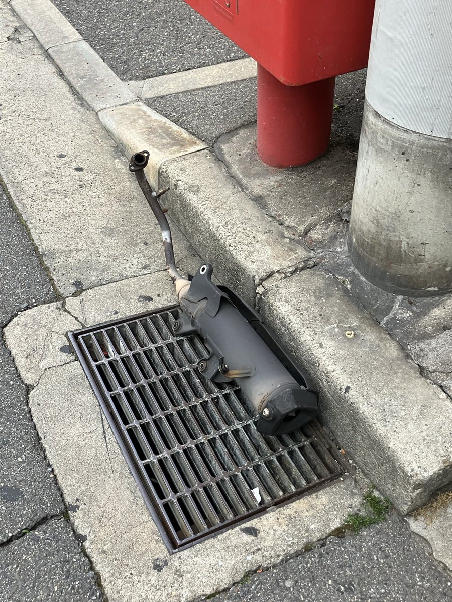 只野ラシスク tweet media