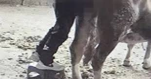 23 DERECE tweet media