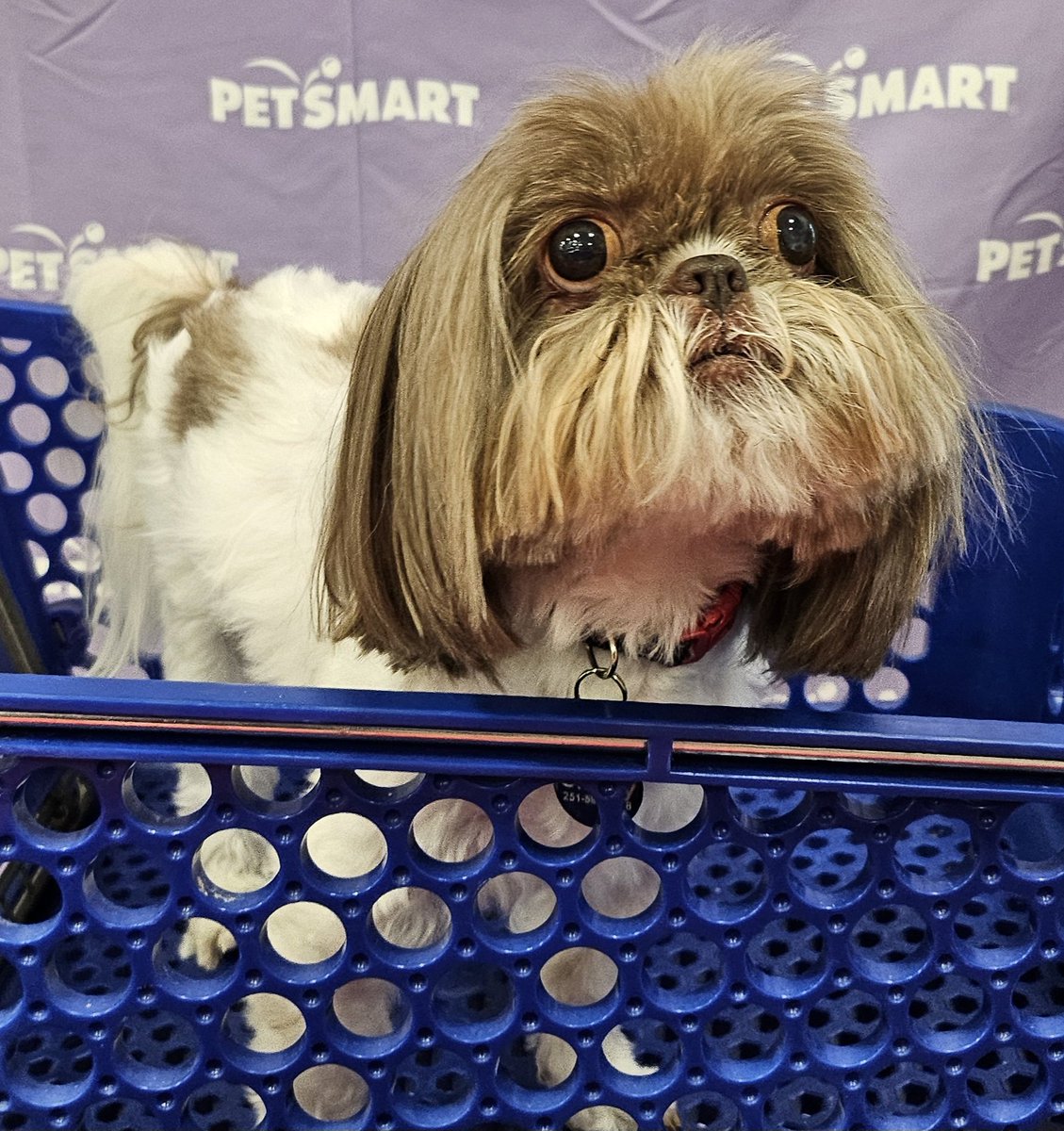 Debnchewy tweet media