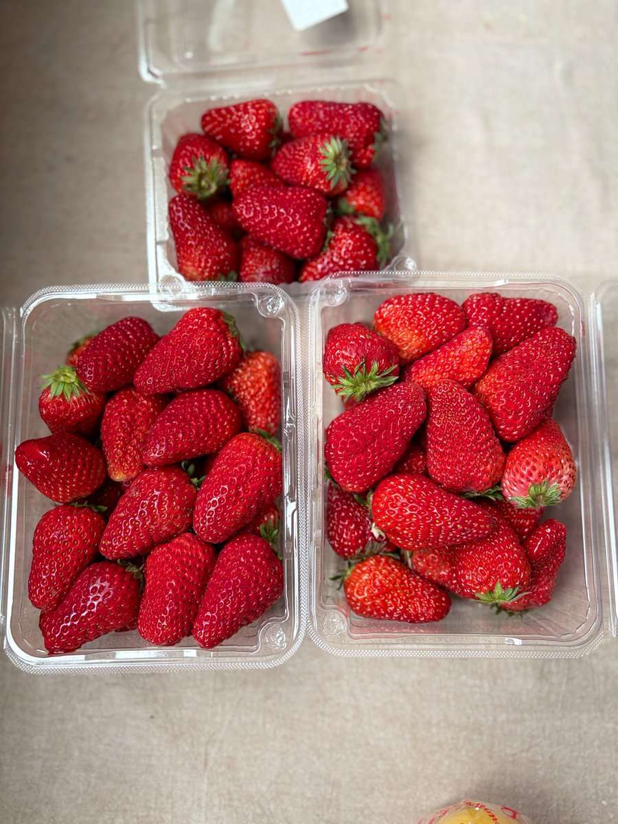 ヒロヲカ🧇 tweet media