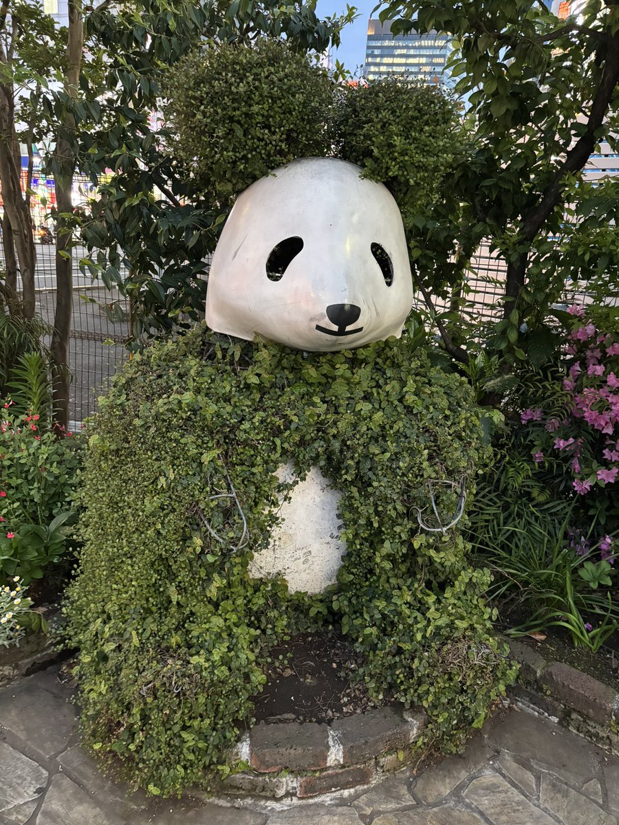 HASSY(ええやんかぁの人) tweet media