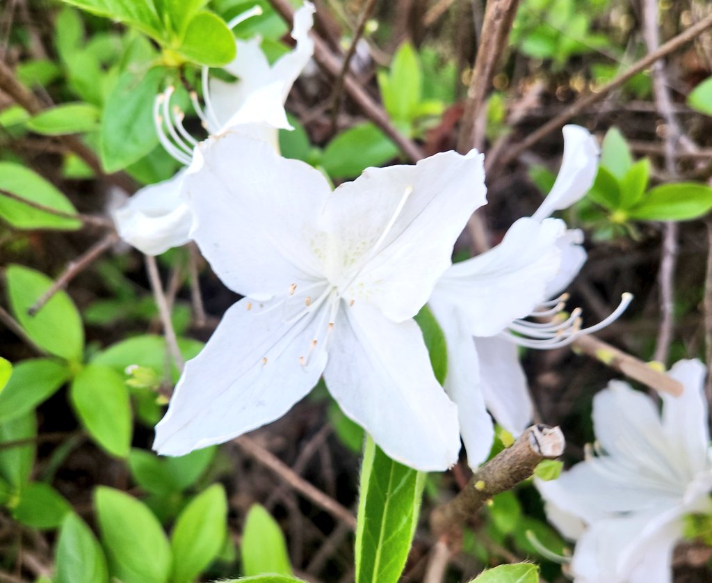 애틋한 tweet media