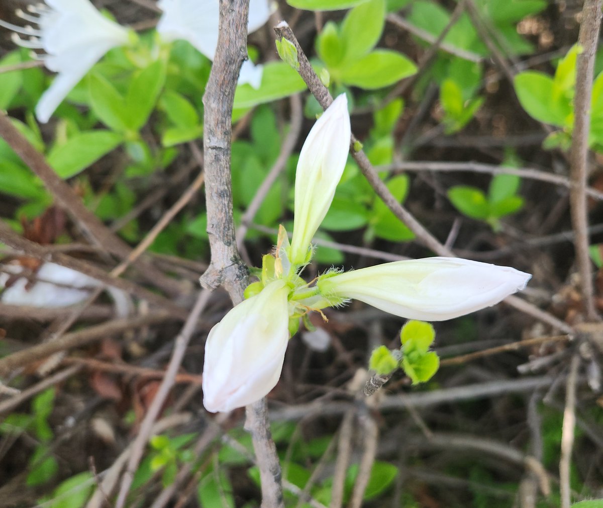 애틋한 tweet media