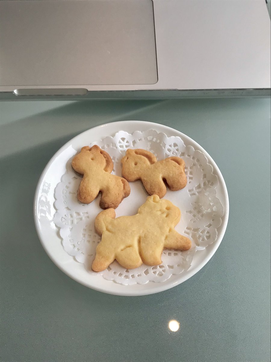 대전: 예뽀니 카페의 도시