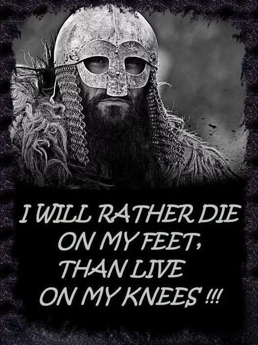 Z du Plessis (@zulu1kilo4) on Twitter photo 