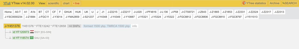 EgyptYDNA's tweet photo. 🇪🇬 عينة Y-DNA مصرية – J-FTE12562 (تحت J-FGC8812)

TMRCA: حوالي 1500 سنة | التكوّن: حوالي 1500 سنة

🧬 تفاصيل العينة

رقم العينة: IN128516
الاسم: محمد صباح
الجد: أحمد صباح (مواليد 1945 – وفاة 2011)
الموقع: شمال سيناء
الدولة: مصر
السلالة الأبوية: J-FTE12562
نوع الفحص: Big Y-700

المسار الجيني
J-M304>M267>CTS12238>Z2217>L620>PF4832>L136>Z1874>P58>CTS9721>PF4678>Z1865>Z1853>L862>PF4843>YSC0000235>PF4638>Z27715>YSC0000234>L858>FGC11>FGC7638>FGC1722>FGC1720>FGC1723>FGC1695>FGC1707>FGC1705>FGC1721>FGC8812>FGC8806>FGC8810>FGC8797>FGC8814>FTE12562

تنتمي هذه العينة المصرية إلى السلالة J-FTE12562، وهي فرع من السلالة J-FGC8812.

تنتمي العينة إلى قبيلة السماعنة، وترجع أصولها إلى بني عذرة ضمن قبائل قضاعة العربية.

تُعد هذه السلالة نادرة جدًا، حيث لا يوجد تحتها سوى عينة واحدة أخرى من المملكة العربية السعودية (المدينة المنورة)، وتنتمي إلى بني موسى من قبيلة جهينة.

ومن الجدير بالذكر أن الفرع الأعلى FGC8810 يظهر بشكل متكرر في السلالات المرتبطة بقبائل مثل جهينة ونهـد.

يُقدّر عمر الج�� المشترك بين هذه العينات بحوالي 1500 سنة، وهو ما يضع هذا الارتباط في بدايات العصر الإسلامي.

ستساعد الفحوصات المستقبلية للـ Y-DNA في تحديد ما إذا كانت هناك فروع أخرى مرتبطة بهذه السلالة.

روابط Y-DNA
https://t.co/2MdaSyLfw5

https://t.co/dMm1R4GbhY

🗺 ملاحظة الخريطة
المسارات الهجرية المعروضة في الخرائط الجينية هي تمثيلية وتوضيحية فقط.
وهي تعبّر عن البنية التشعبية الجينية ولا تعني بالضرورة مسارات هجرة تاريخية دقيقة.

#FTE12562 #FGC8814 #FGC8797 #FGC8810 #FGC8806 #FGC8812 #FGC1721 #FGC1705 #FGC1707 #FGC1695 #FGC1723 #FGC1720 #FGC1722 #FGC7638 #FGC11 #L858 #Z27715 #PF4638 #YSC0000235 #PF4843 #L862 #Z1853 #Z1865 #PF4678 #CTS9721 #P58 #Z1874 #L136 #PF4832 #L620 #Z2217 #CTS12238 #M267 #M304