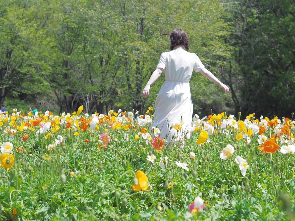 みなみ@Calla lily tweet media